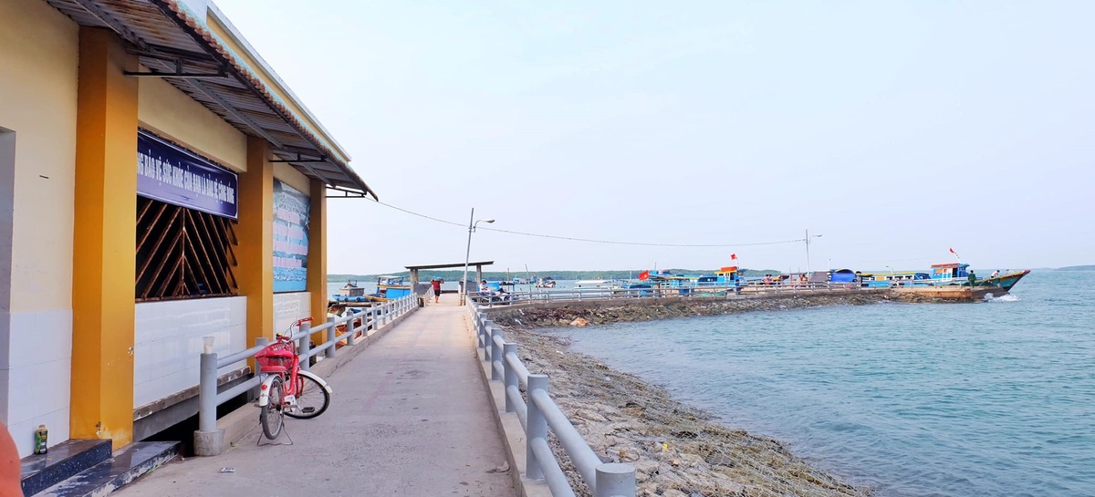 Khám phá Đảo Thạnh An: Hòn đảo hoang sơ duy nhất của TP.HCM - ảnh 2