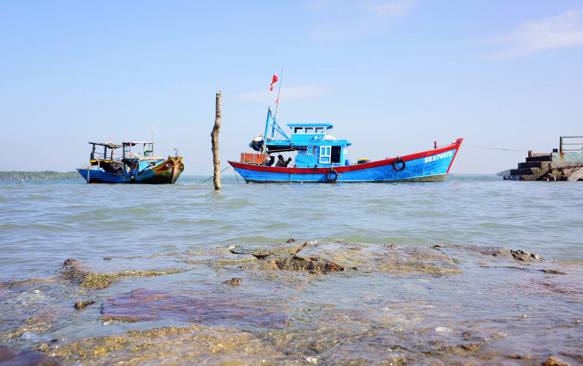 Khám phá Đảo Thạnh An: Hòn đảo hoang sơ duy nhất của TP.HCM - ảnh 6