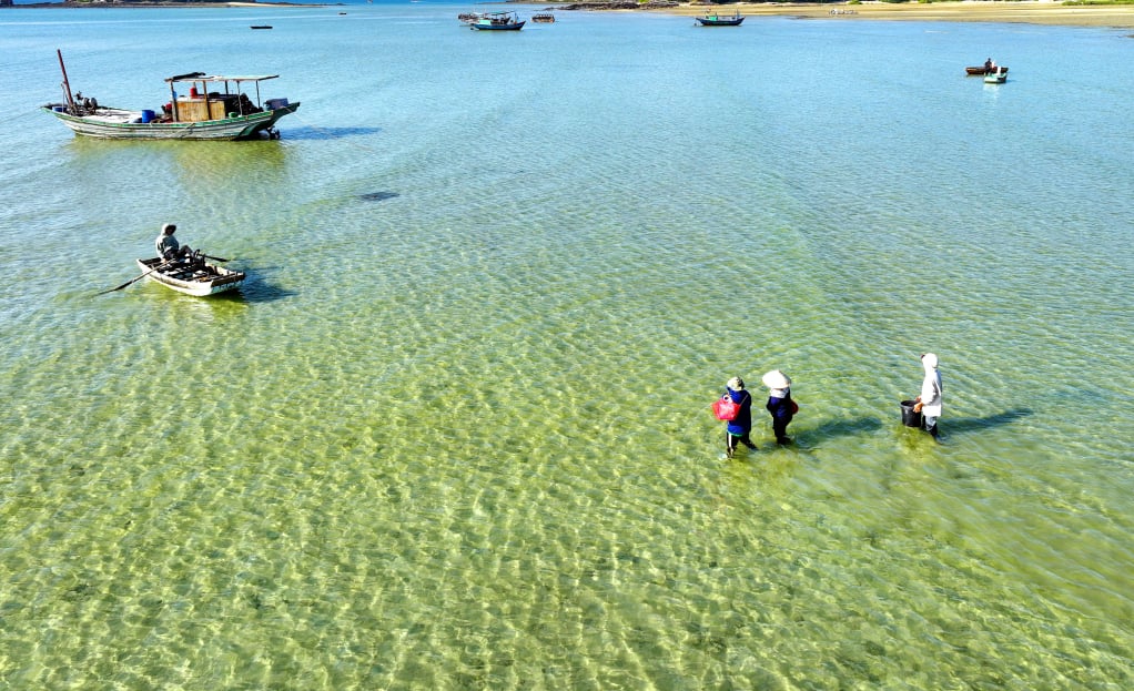 Ảnh: Báo Quảng Ninh
