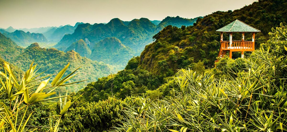 Khám phá đảo Cát Bà hè 2025: Những hoạt động trải nghiệm không nên bỏ lỡ - ảnh 4