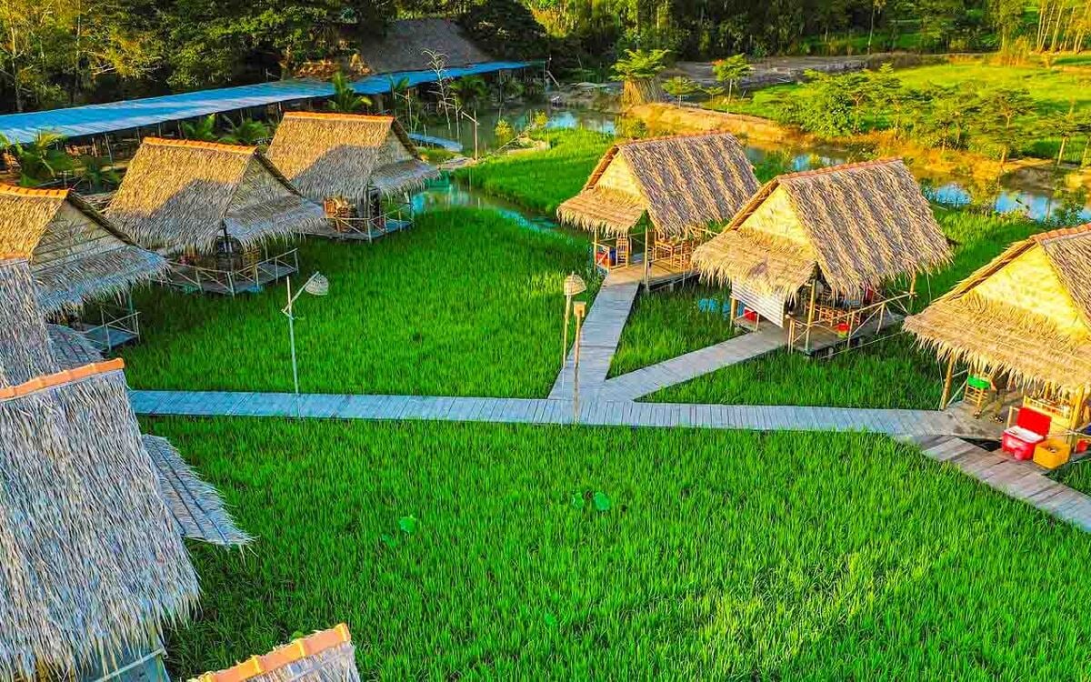 Điểm danh 5 khu du lịch sinh thái nổi tiếng bậc nhất Đồng Tháp - ảnh 1