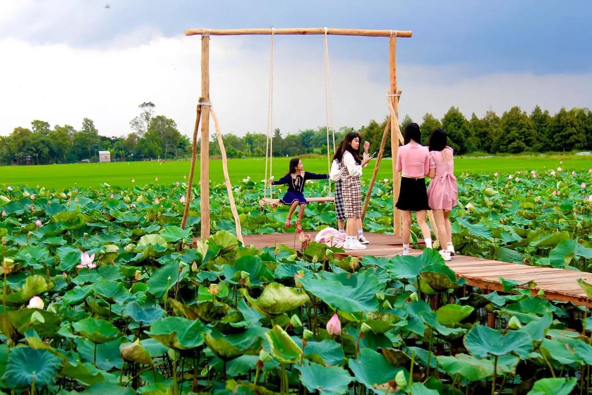 Điểm danh 5 khu du lịch sinh thái nổi tiếng bậc nhất Đồng Tháp - ảnh 3