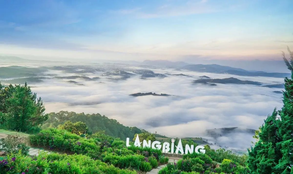 Núi Langbiang có gì chơi? Top 8 trải nghiệm thú vị tại đỉnh núi cao nhất Đà Lạt - ảnh 6