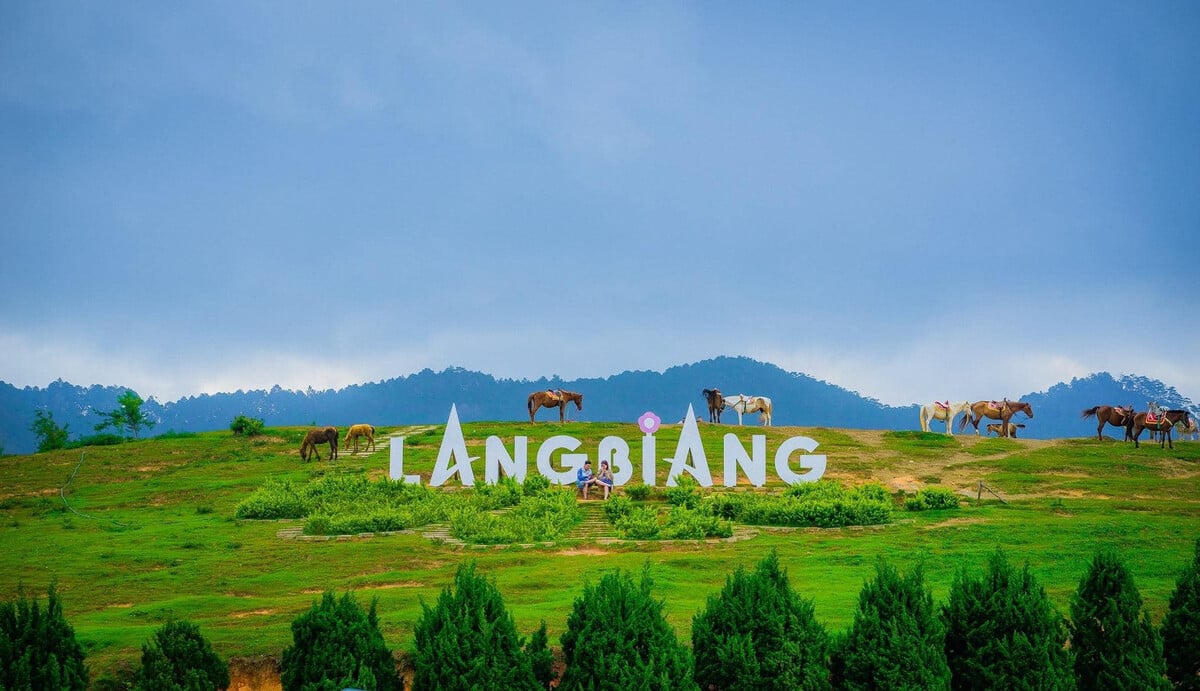 Núi Langbiang có gì chơi? Top 8 trải nghiệm thú vị tại đỉnh núi cao nhất Đà Lạt - ảnh 7
