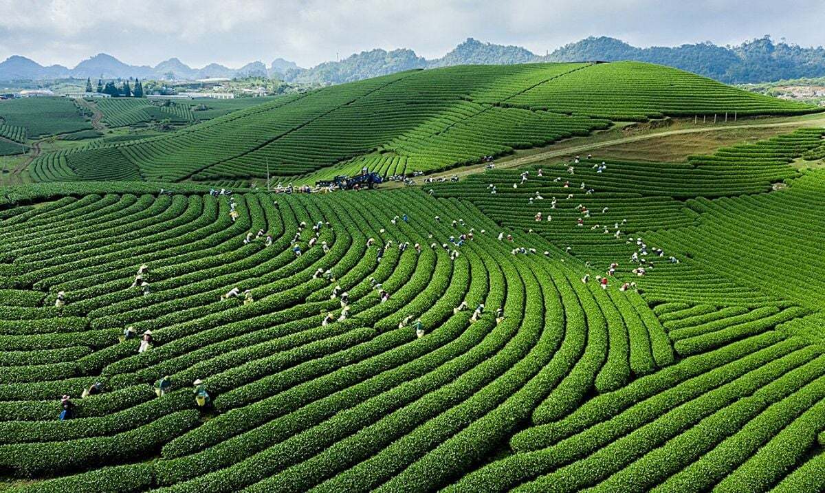 Tháng 5 nên đi du lịch ở đâu miền Bắc? Top những địa điểm đẹp nhất - ảnh 4