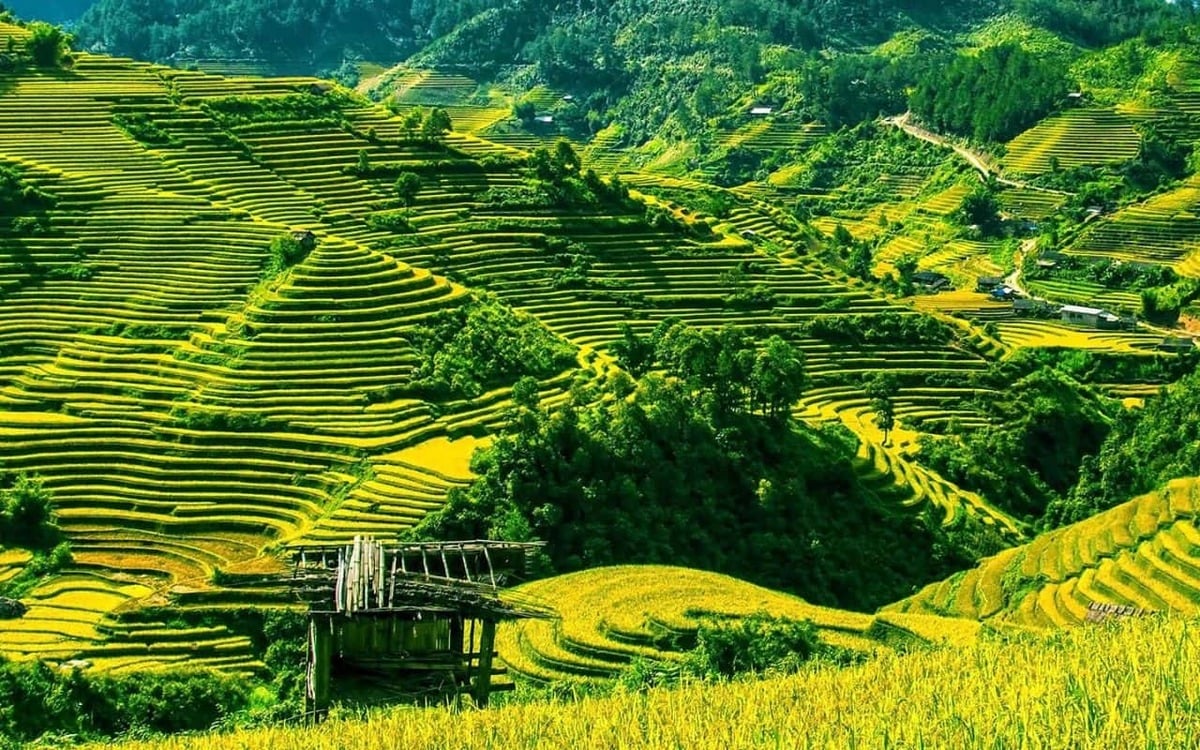 Top 5 địa điểm miền Bắc có cảnh đẹp nhất vào mùa hè - ảnh 2