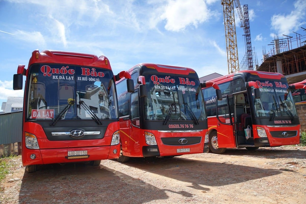 Review 7 nhà xe chạy tuyến Phú Yên - Đà Lạt uy tín nhất 2025 - ảnh 7