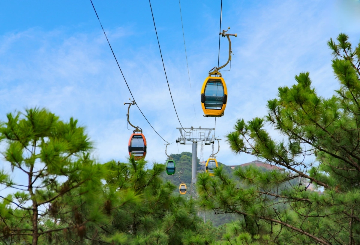 Cáp Treo Đà Lạt lọt Top 10 Thương hiệu Vàng Việt Nam 2025 - ảnh 1