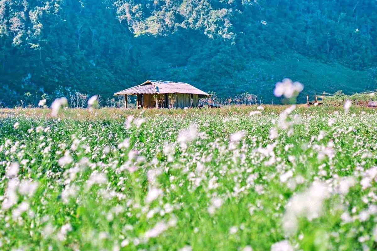 Du lịch Tây Bắc: Những điểm đến đẹp nhất, lý tưởng cho chuyến đi 3 ngày 2 đêm - ảnh 2