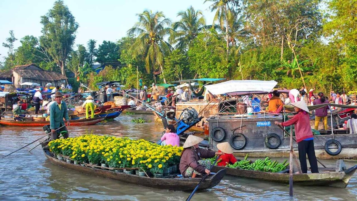 Hà Nội đi Hậu Giang bao nhiêu km? Di chuyển thế nào? - ảnh 3