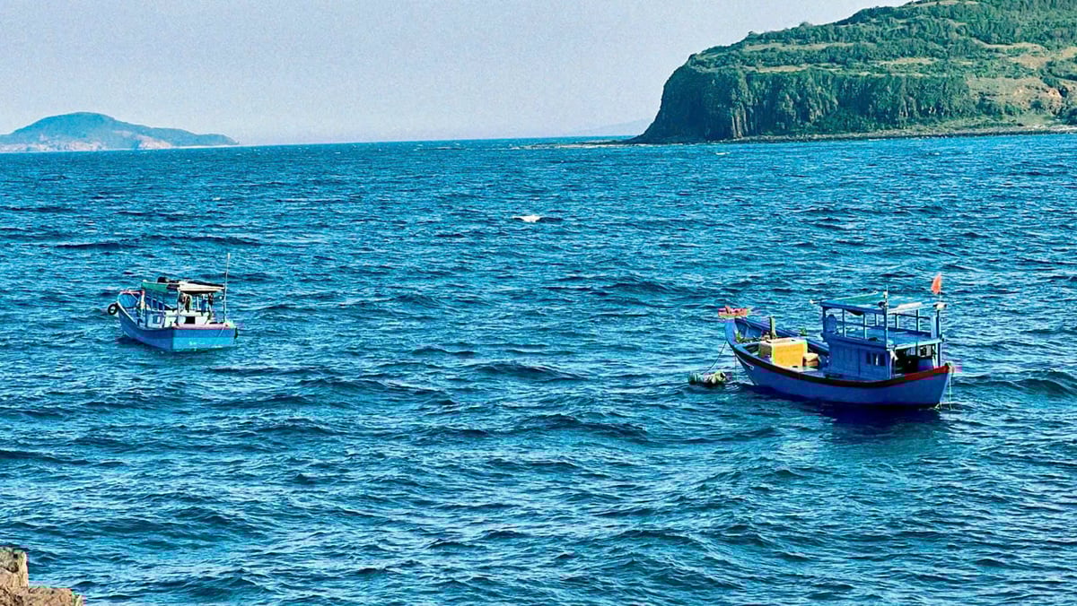 Ảnh: Phạm Mẫn Thuyên/ Check in Vietnam