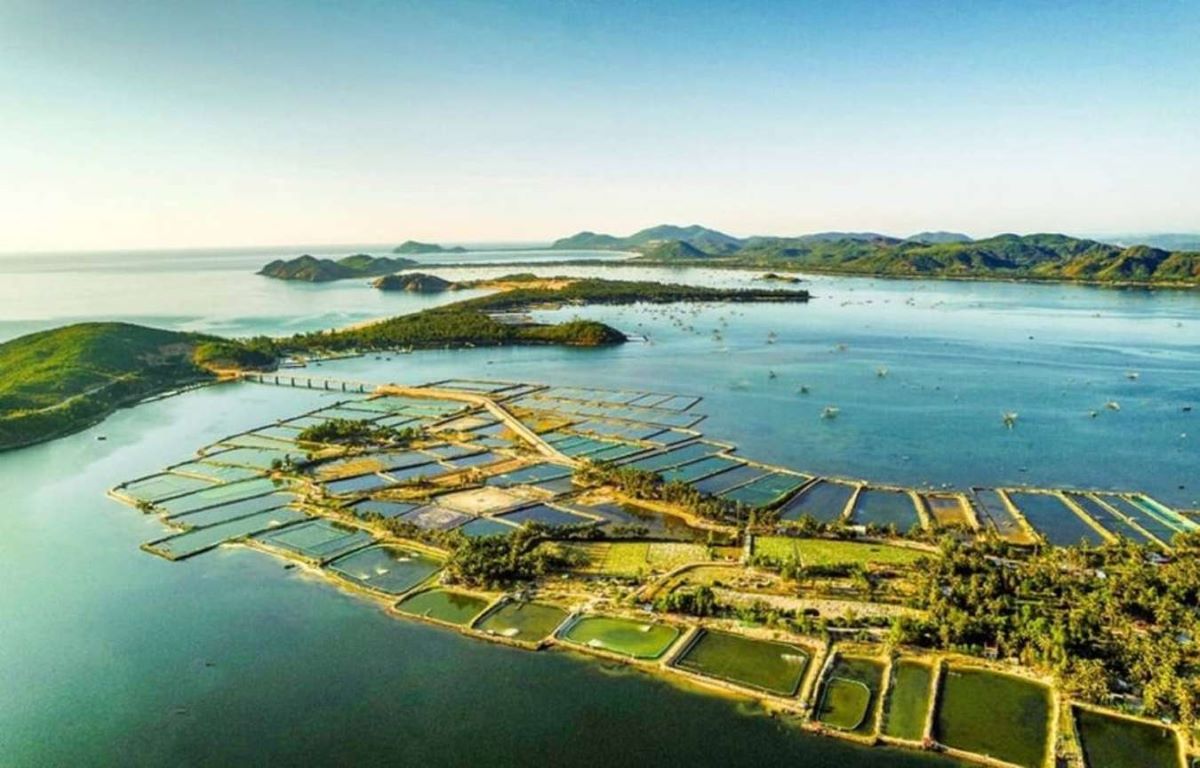 Từ sân bay Tuy Hòa đến Đầm Ô Loan bao xa? - ảnh 2