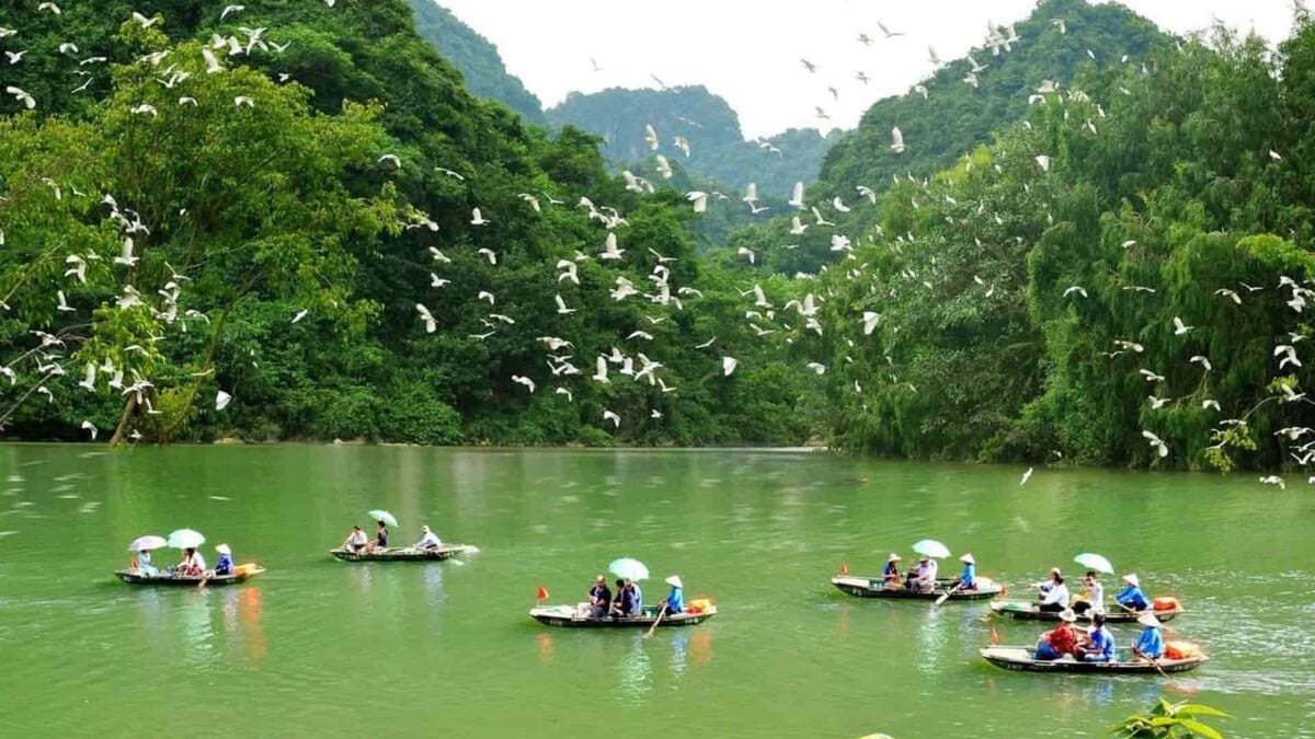 Du lịch Thung Nham 1 ngày: Hành trình khám phá “ốc đảo xanh” của vùng cố đô - ảnh 1