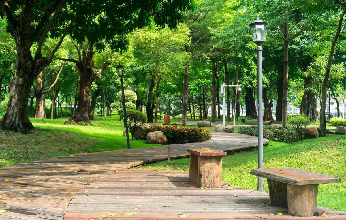 Đổi gió cuối tuần với 7 địa điểm picnic đẹp nhất Sài Gòn - ảnh 5
