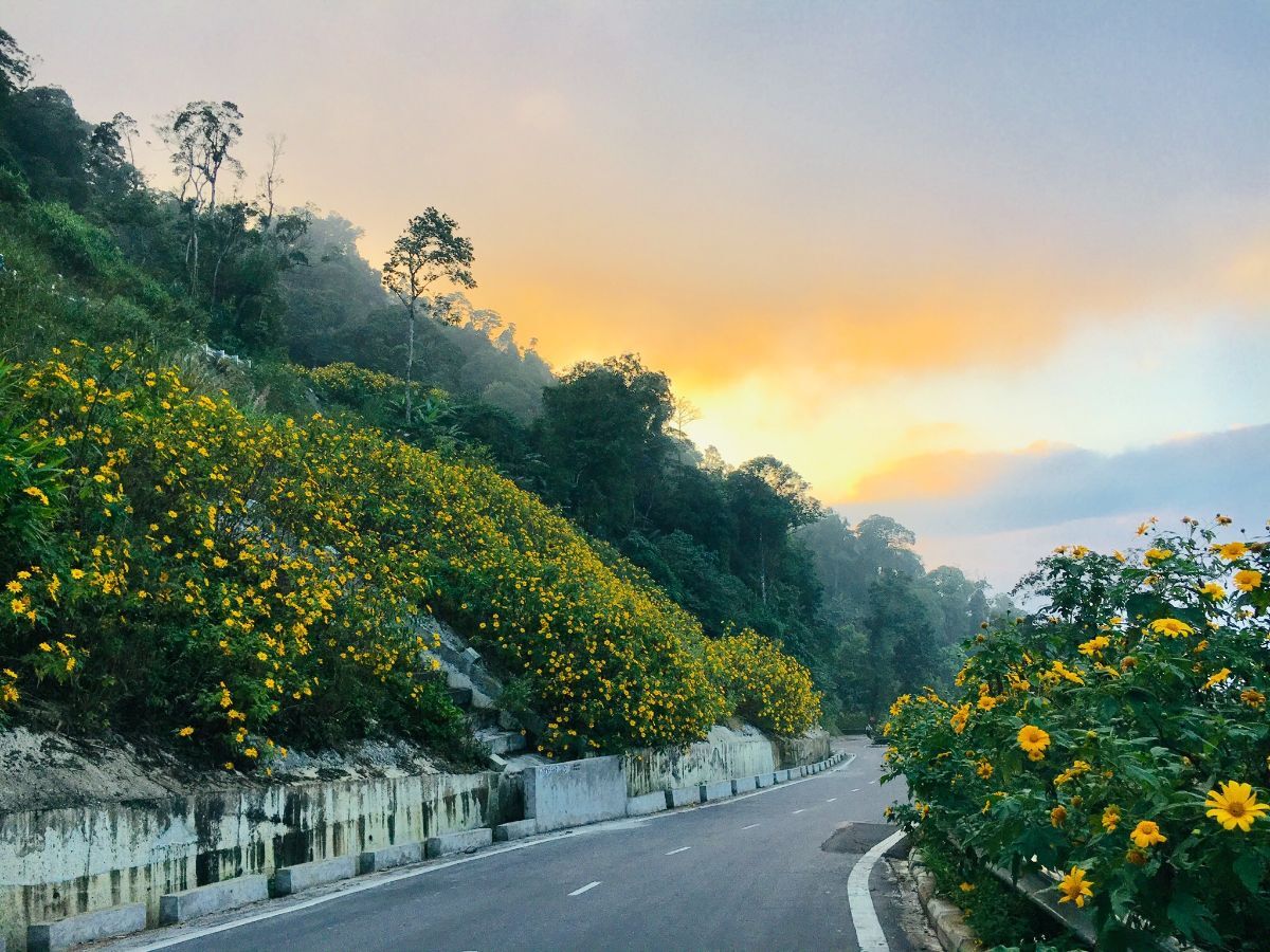 Du lịch cách Hà Nội 150km: Top những điểm đến thú vị nhất hè 2025 - ảnh 6