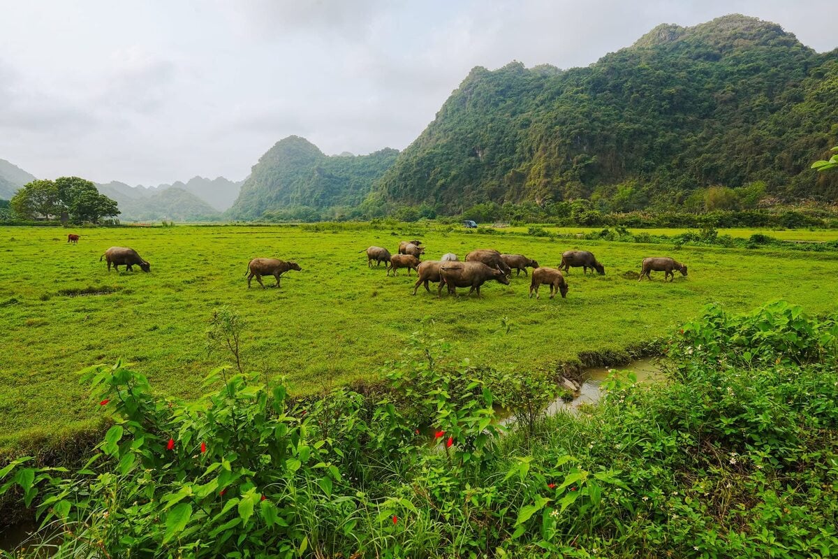 Nơi chữa lành đúng nghĩa ở Hải Phòng không phải ai cũng biết - ảnh 1