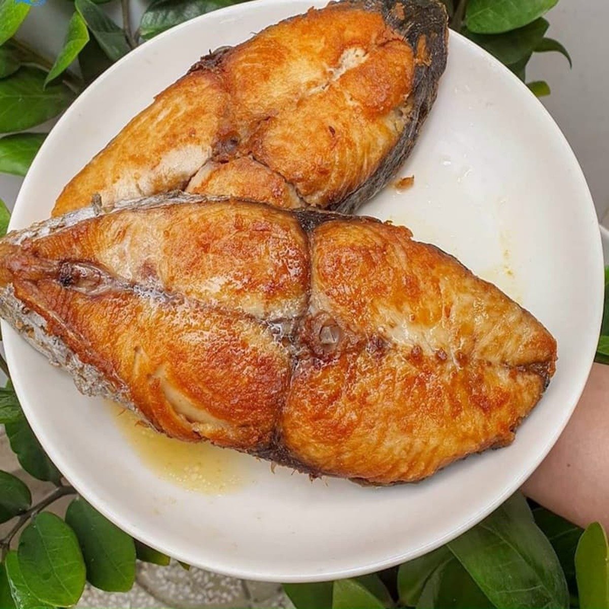 Top 8 món ăn ngon nhất định phải thử khi đến Côn Đảo - ảnh 1