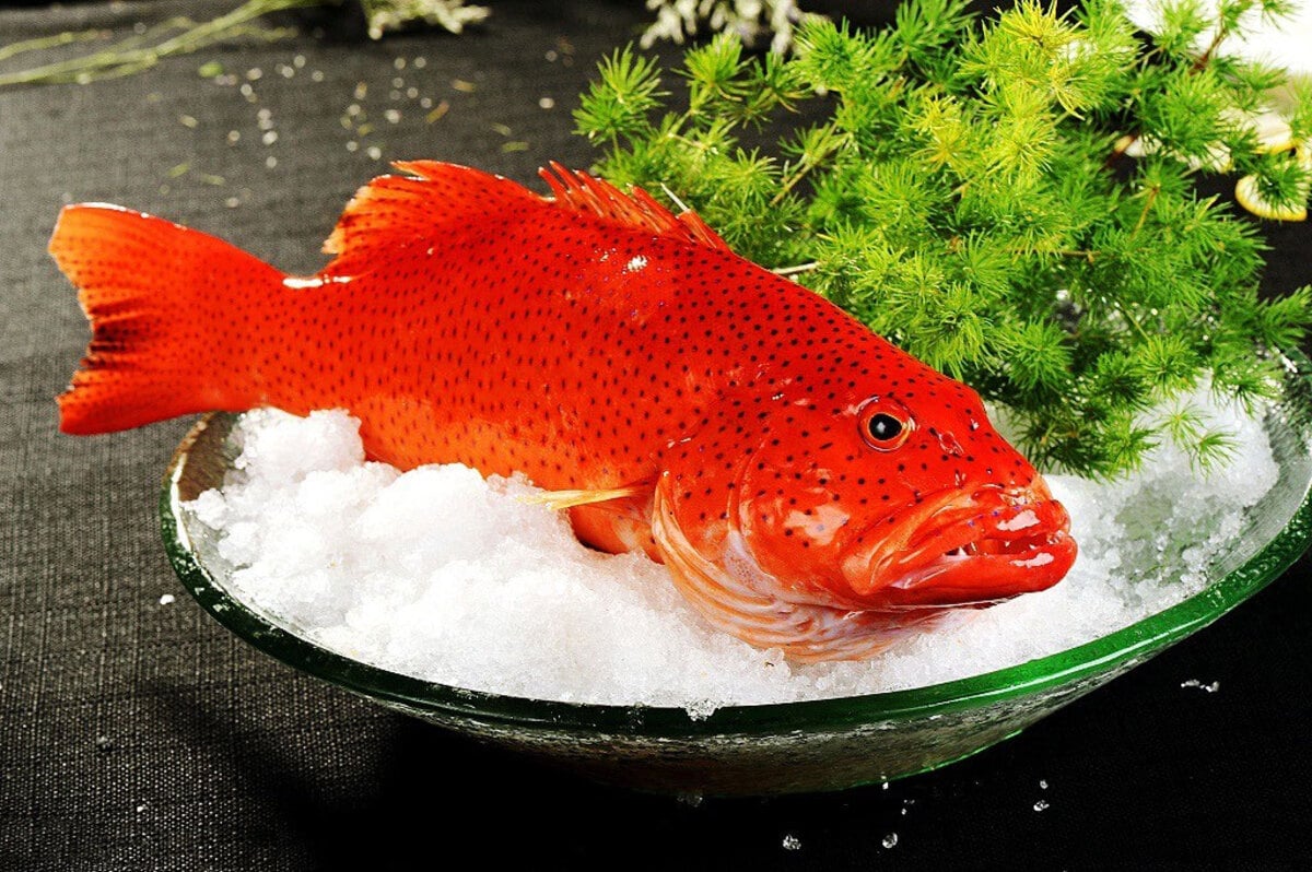 Top 8 món ăn ngon nhất định phải thử khi đến Côn Đảo - ảnh 8