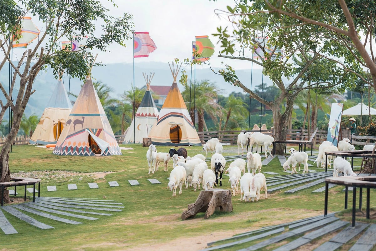 Du lịch Đà Lạt 1 ngày nên đi đâu? Gợi ý 6 điểm đến đẹp bậc nhất Đà Lạt - ảnh 5