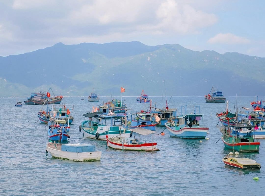 Ngắm nhìn bãi biển xinh đẹp (Ảnh: Phuongtali)