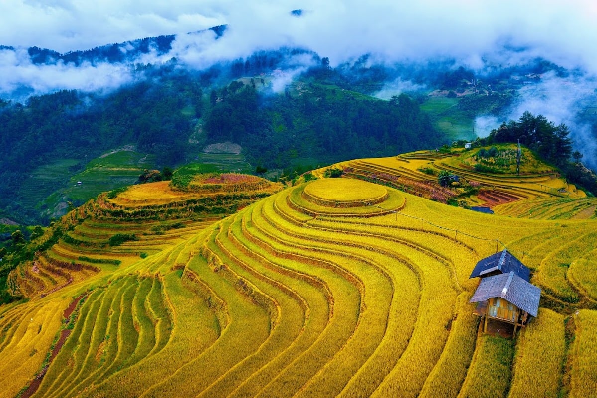 Yên Bái không chỉ có Mù Cang Chải. (Ảnh: Internet)