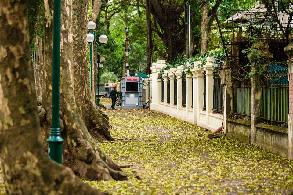 Chùm ảnh Hà Nội trong mùa lá rụng - ảnh 2