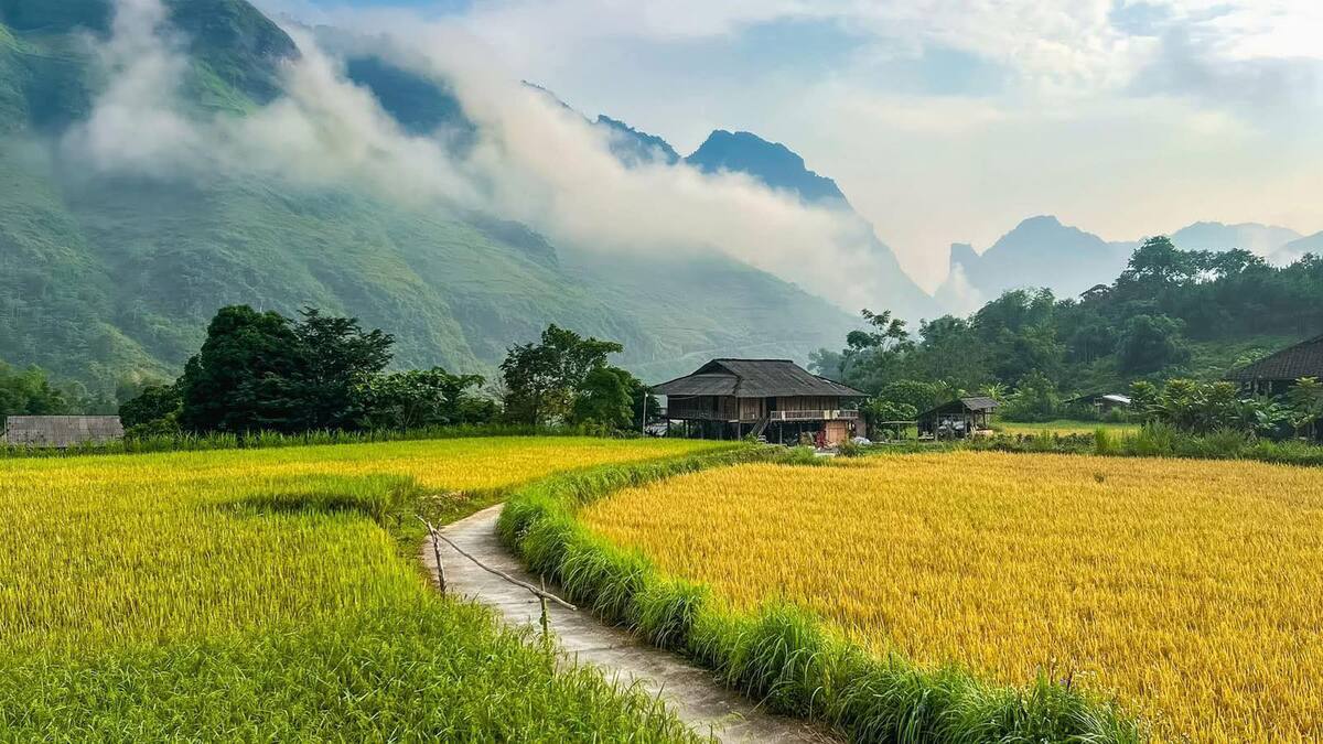 9 ngôi làng đẹp như tranh ở Hà Giang nhất định phải ghé khi tới miền đá nở hoa - ảnh 7