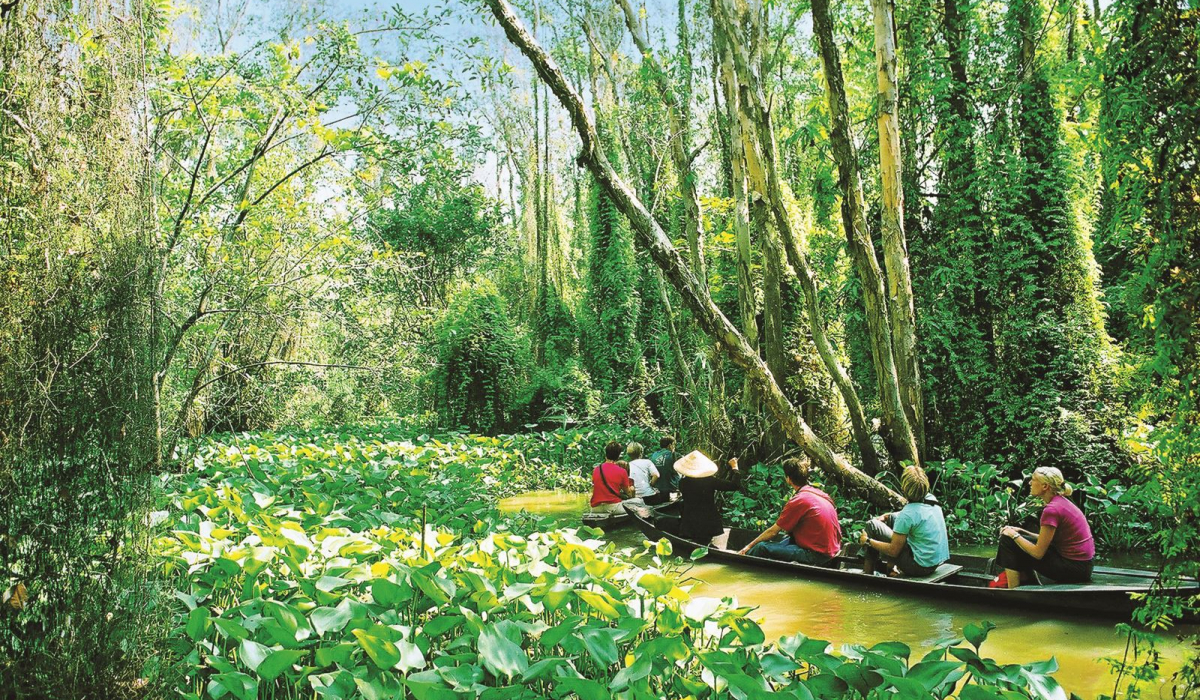 Bỏ túi kinh nghiệm du lịch Long An tự túc: Ăn gì, chơi ở đâu? - ảnh 2