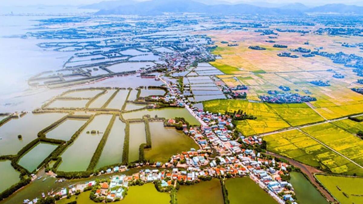 Từ sân bay Phù Cát về trung tâm thành phố bao nhiêu km? - ảnh 3