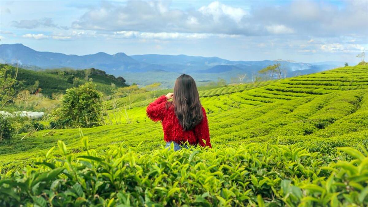 Top 7 điểm du lịch Đà Lạt có cảnh đẹp nhất vào mùa hè - ảnh 2