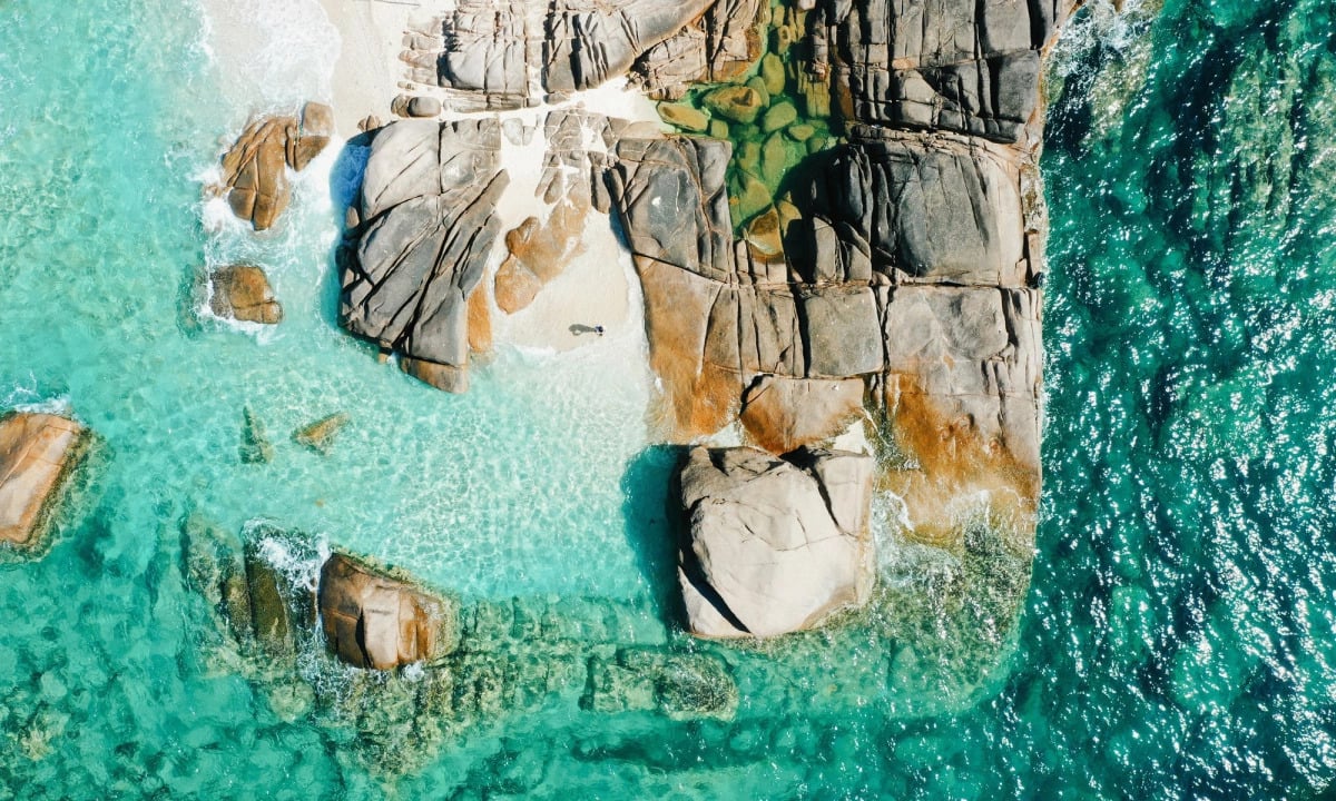 Ảnh: Tài Phạm