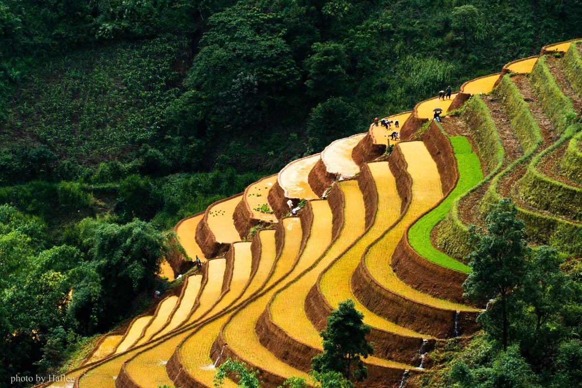 Ảnh: Haf Lee/ Check in Vietnam