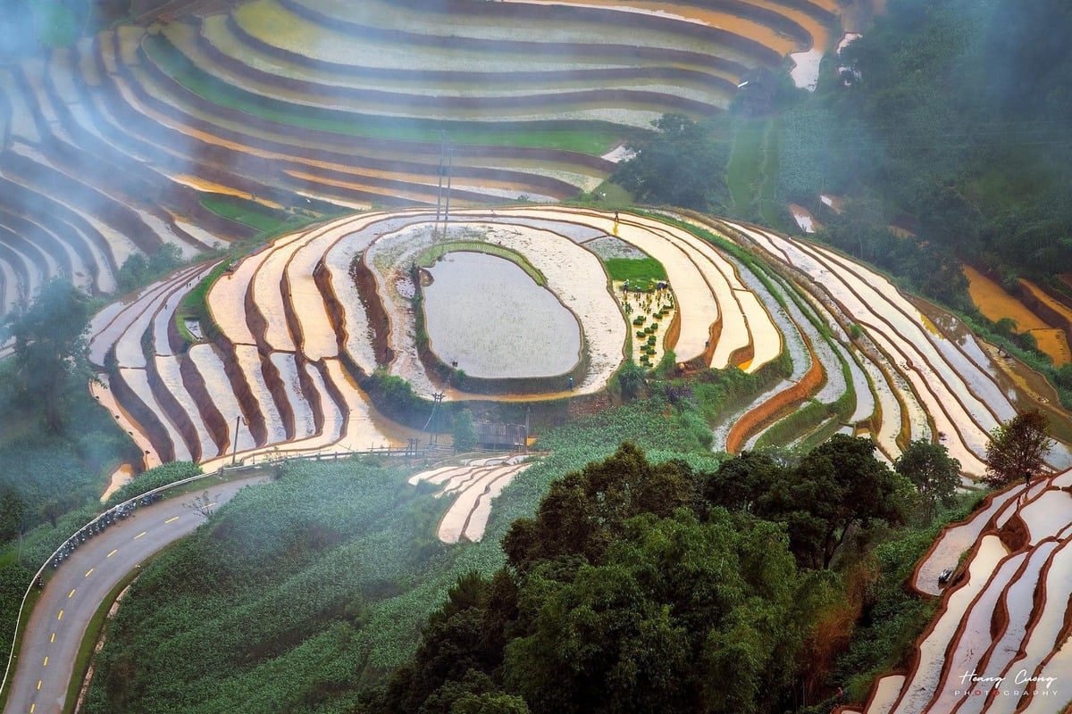 Phạm Hoàng Cương