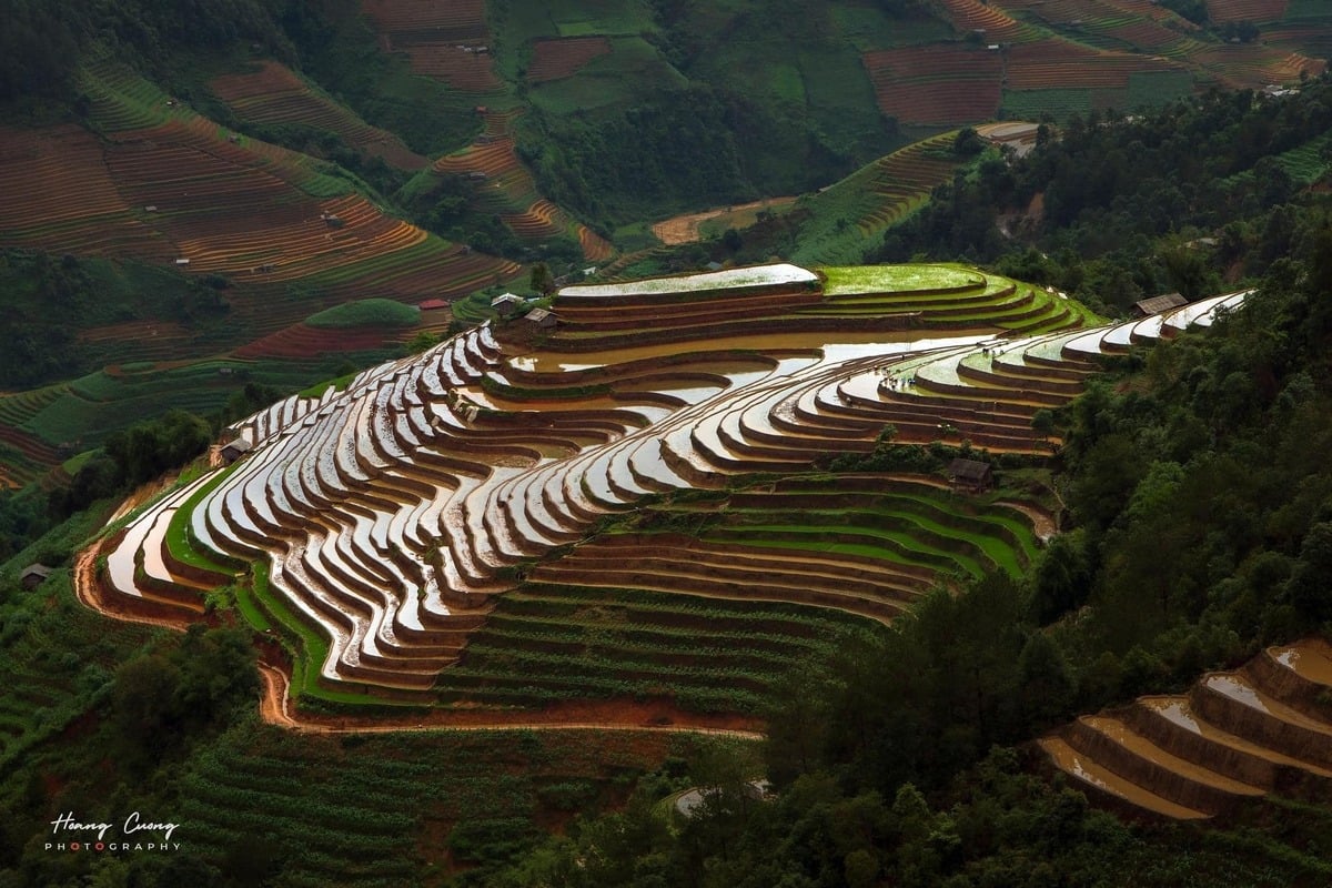 Phạm Hoàng Cương