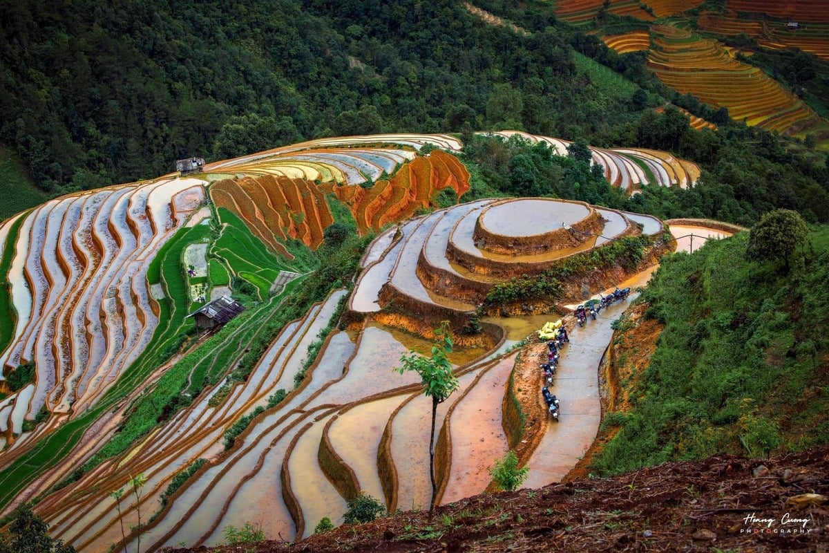 Phạm Hoàng Cương