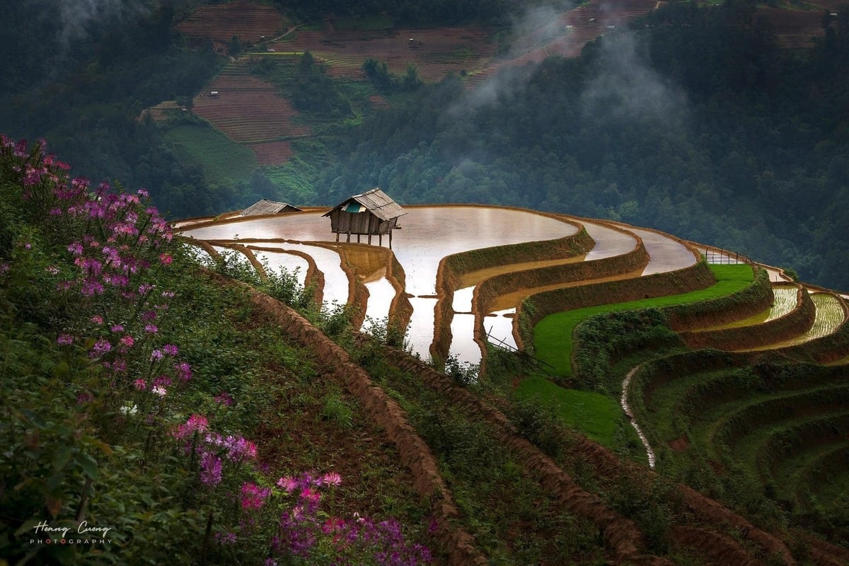 Ảnh: Phạm Hoàng Cương