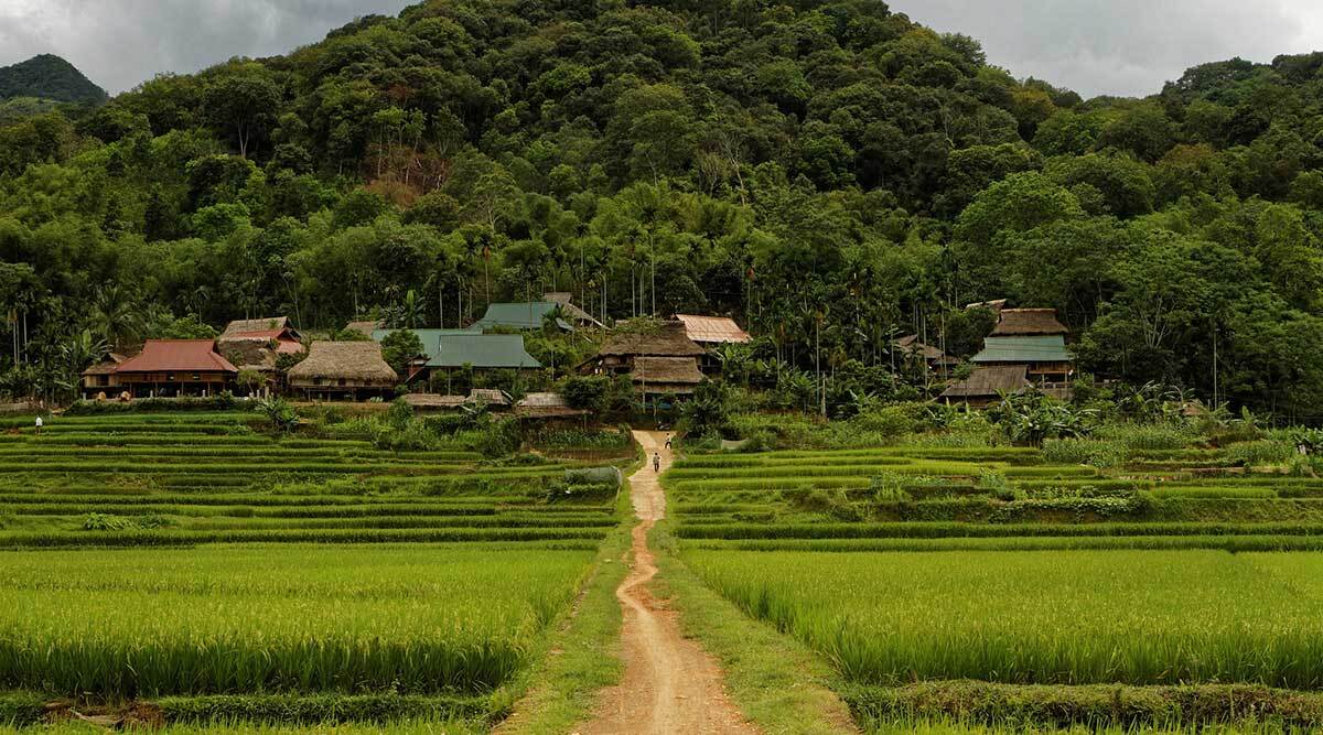 Pù Luông. (Ảnh minh họa - Nguồn: Internet)