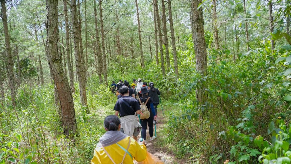 Du lịch hè 2025: Những lưu ý khi đi trekking - ảnh 2