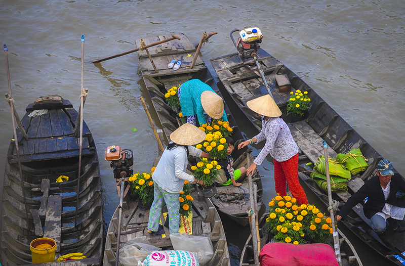 Vẻ đẹp đặc biệt mùa nước nổi (Ảnh: Internet)