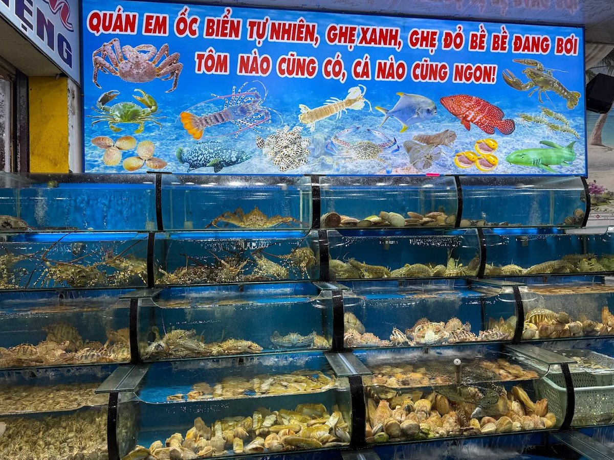 Bể hải sản tươi sống tại quán Ốc Biển Tự Nhiên (Nguồn: Internet)