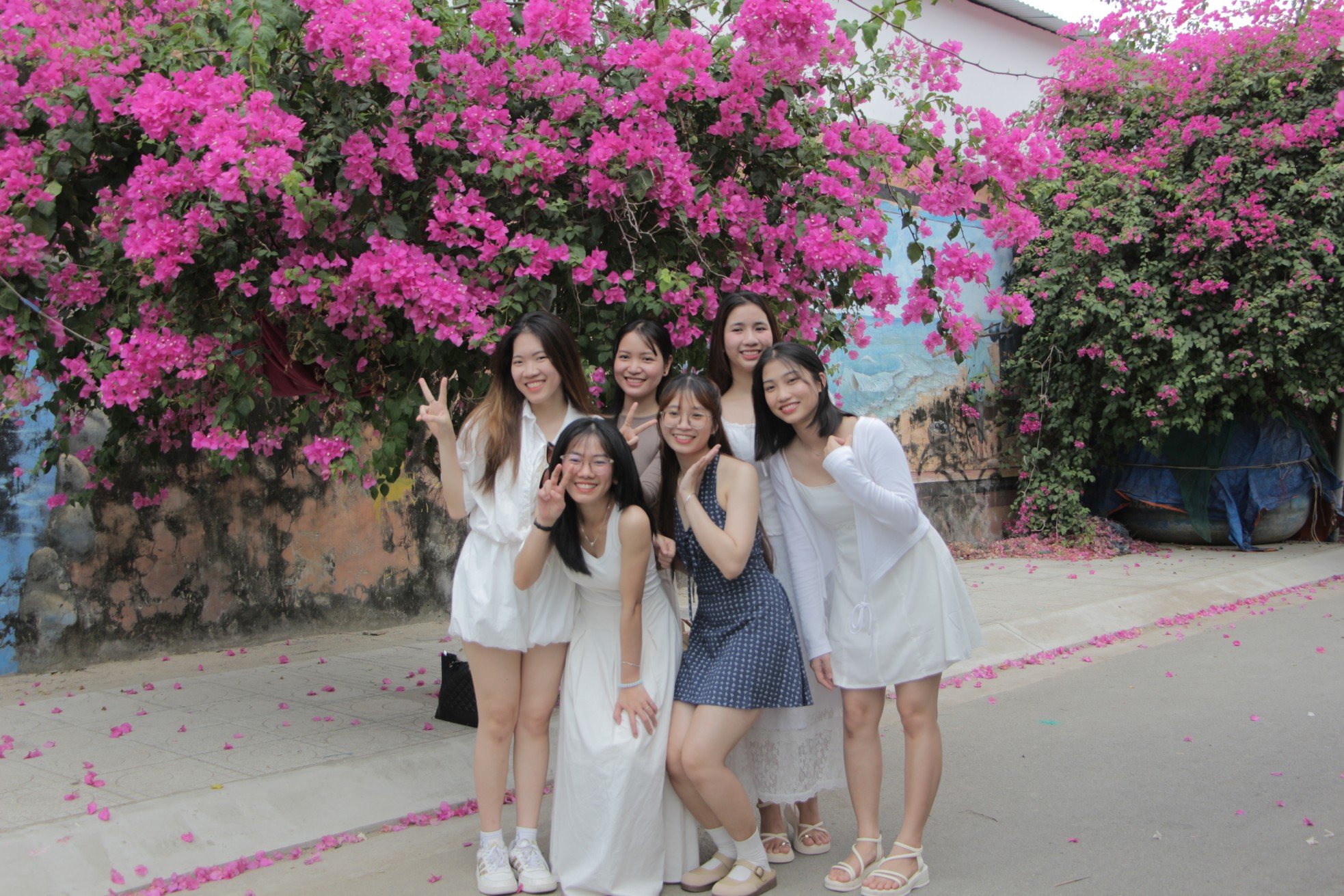Du khách mê mẩn đường hoa giấy rực rỡ giữa lòng Nha Trang - ảnh 1