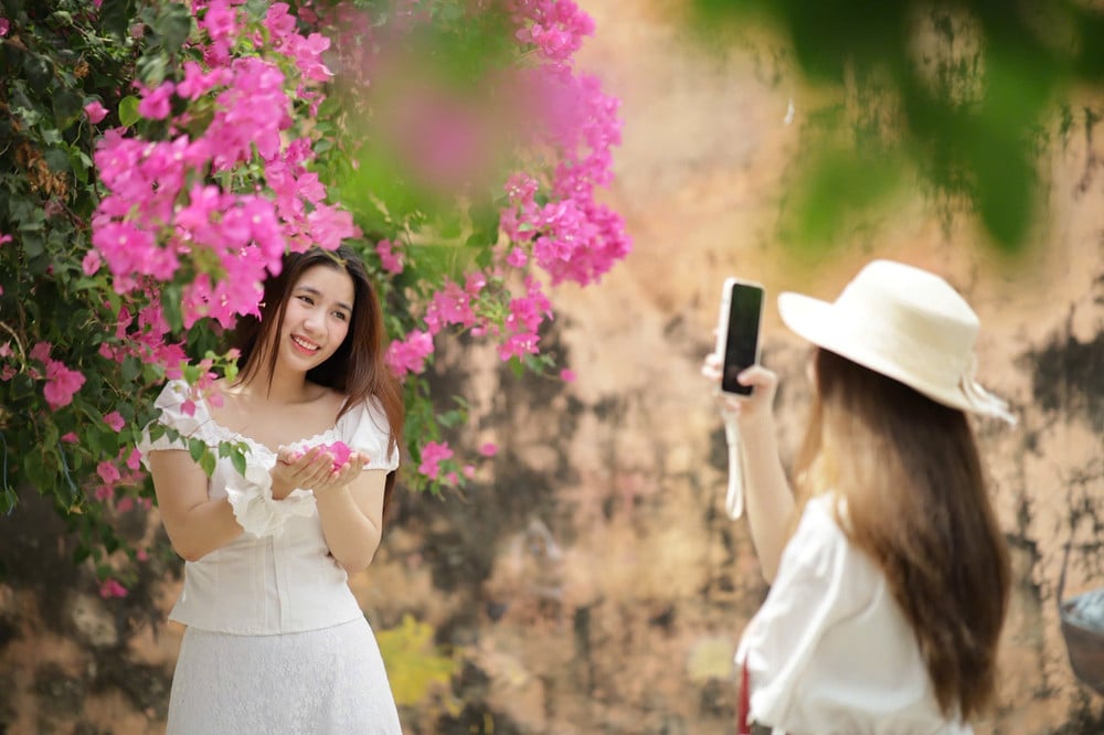 Không gian đậm chất thơ hoa giấy mang lại (Ảnh: Báo Tiền Phong)