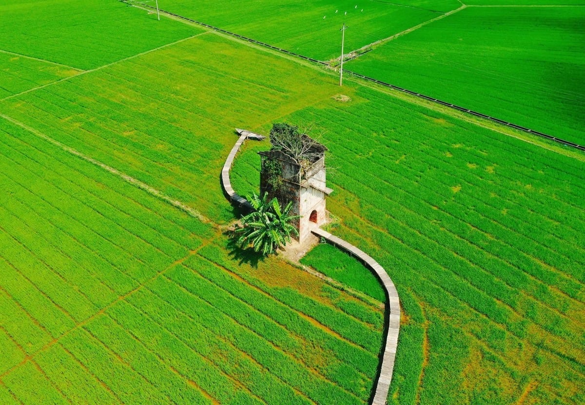 Lò gạch cũ nhìn từ trên cao (Ảnh: Tai Pham)