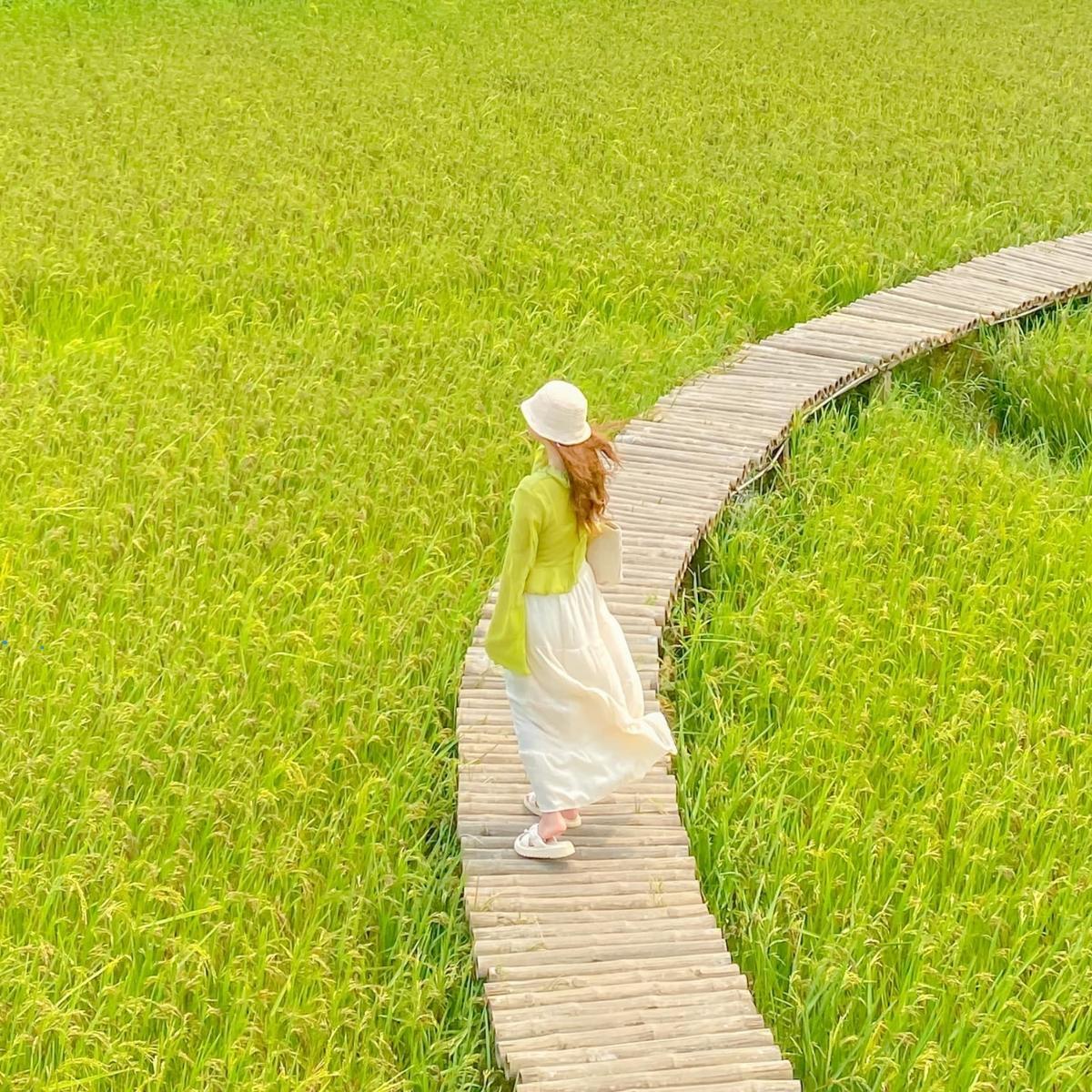 Cầu tre (Ảnh: Nguyễn Xuân Anh/Review Du Lịch Đà Nẵng - Hội An 4.0)