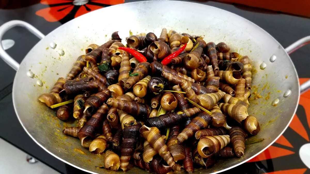 Ốc hút Đà Nẵng là món ăn vặt rất được giới trẻ yêu thích. (Ảnh minh họa - Nguồn: Internet)