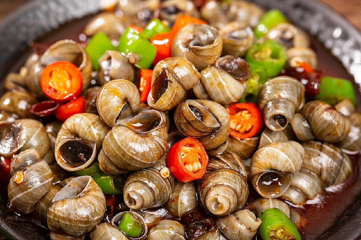 7 quán ốc hút Đà Nẵng ngon hấp dẫn, thử là mê - ảnh 2