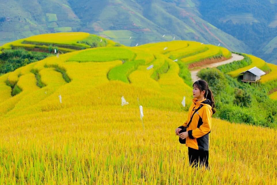 Top 5 địa điểm lãng mạn nhất nhì Tà Xùa cho cặp đôi kỳ du lịch hè 2025 - ảnh 1