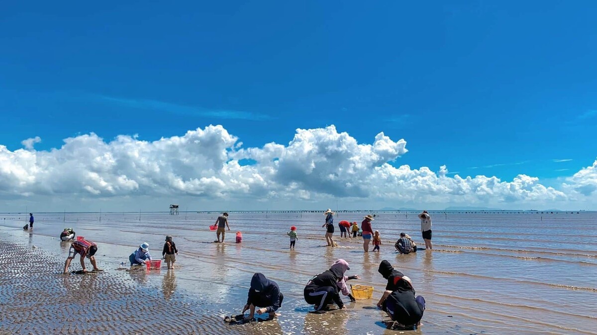Top 6 bãi biển gần Hậu Giang nên trải nghiệm dịp hè 2025 - ảnh 1