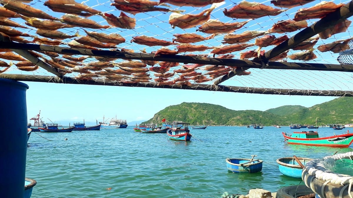 Làng chài Hải Minh - Bức tranh mộc mạc đầy quyến rũ của thành phố biển Quy Nhơn - ảnh 1