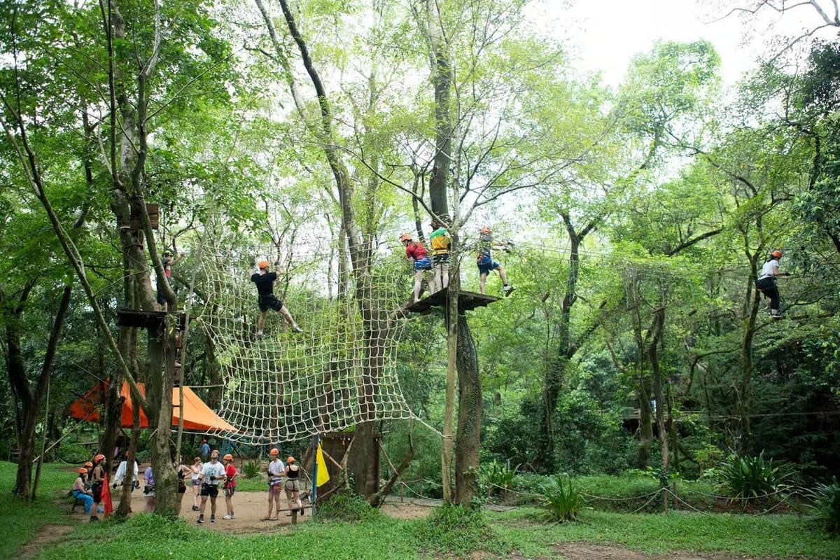 Hệ thống trò chơi liên hoàn trên cây thu hút những du khách thích vận động và ưa mạo hiểm (Ảnh: Ozo Park Quảng Bình)